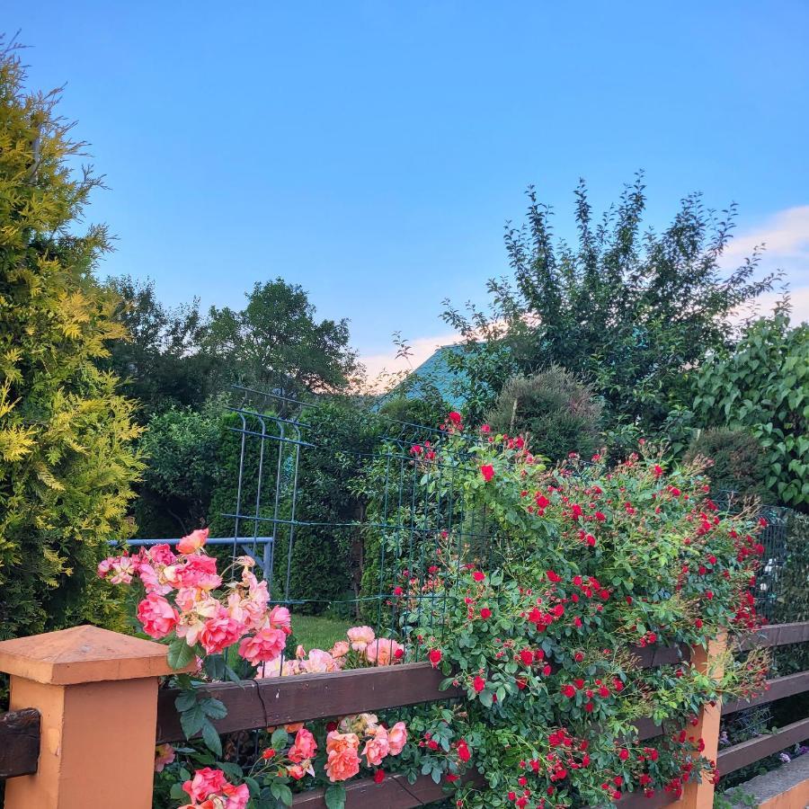 Lodge Breza Lux Kolaşin Dış mekan fotoğraf
